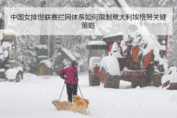 中国女排世联赛拦网体系如何限制意大利埃格努关键策略