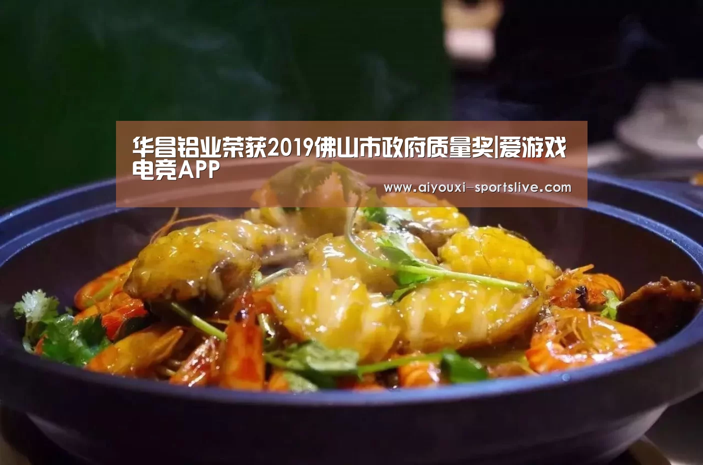 华昌铝业荣获2019佛山市政府质量奖|爱游戏电竞APP