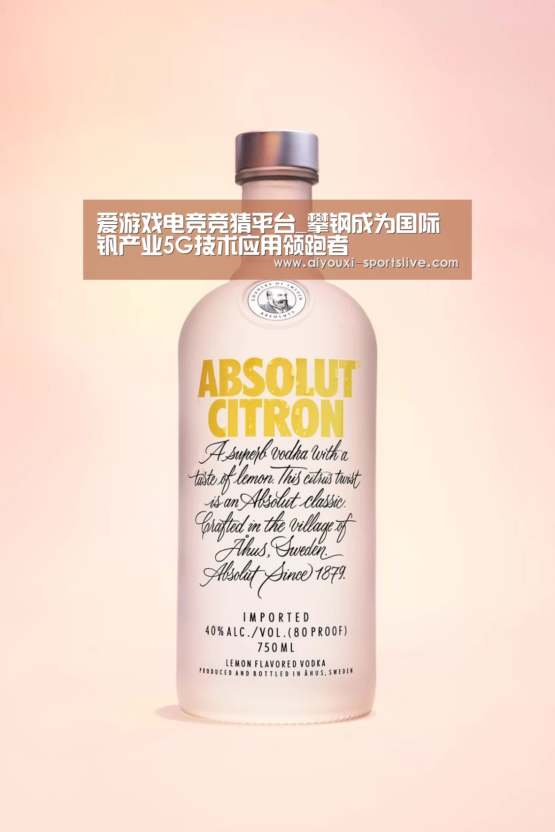 爱游戏电竞官网